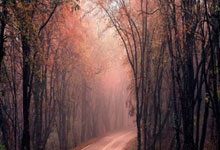 修仙小说男主名字大全,修仙小说男主角名字排行榜