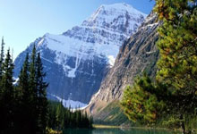 情感小说段子,情感小说经典语录大全