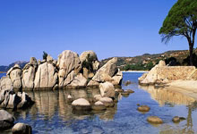 重生都市修仙小说排行榜,十大重生都市修仙小说